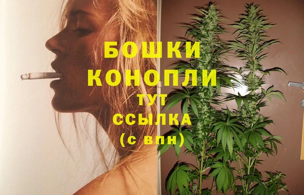 мяу мяу мука Абаза