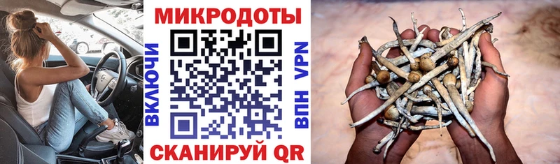 Псилоцибиновые грибы Psilocybe KRAKEN зеркало Нижнекамск