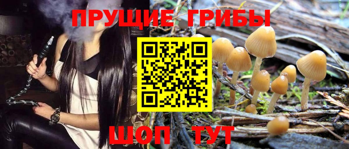 Галлюциногенные грибы Psilocybine cubensis  Вход с VPN  Галлюциногенные грибы прущие грибы  Нижнекамск 