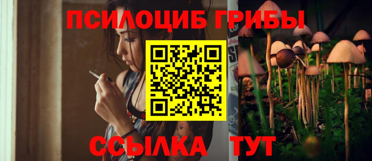 Псилоцибиновые грибы прущие грибы Нижнекамск